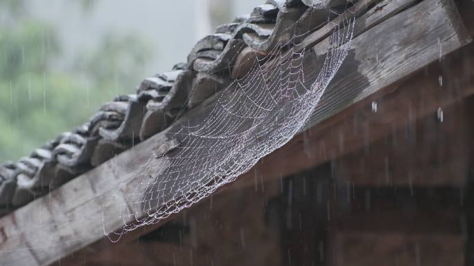 下雨天屋檐下的蜘蛛网