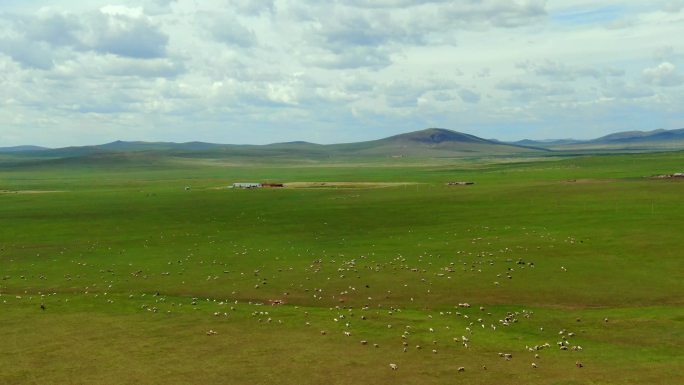 内蒙古大草原10