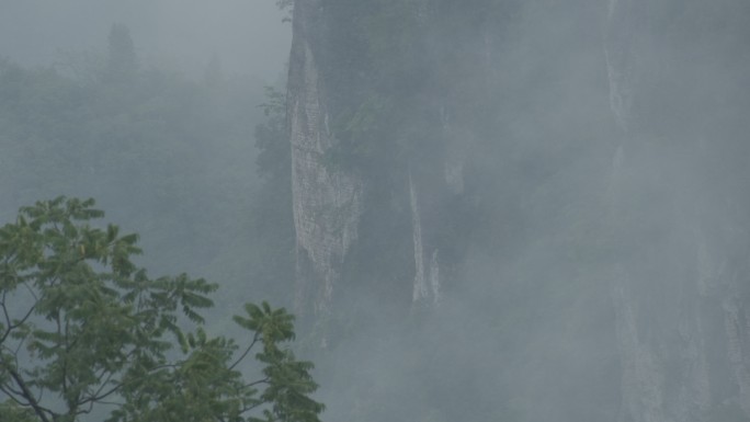 下雨天意境画面 山崖 树