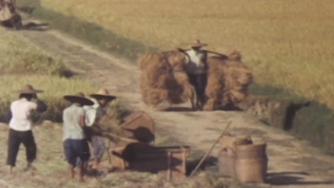 70年代农村农民耕种收割场景