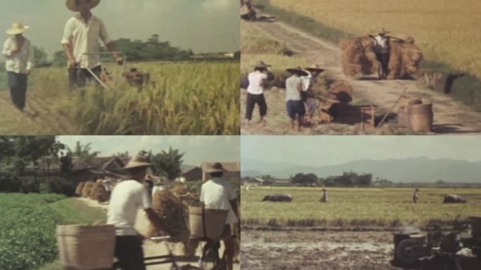 70年代农村农民耕种收割场景