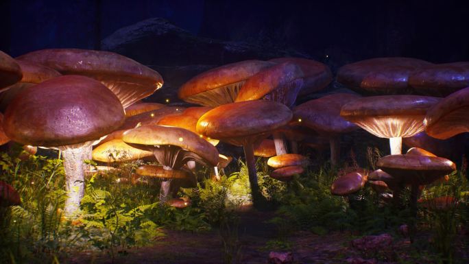 唯美灯光蘑菇林