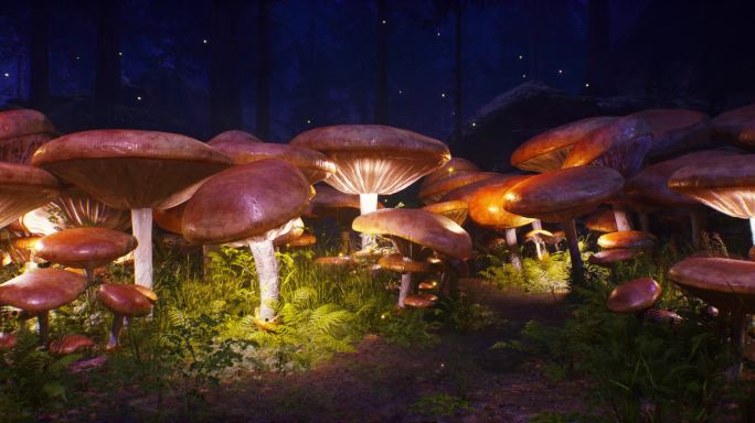 唯美灯光蘑菇林02