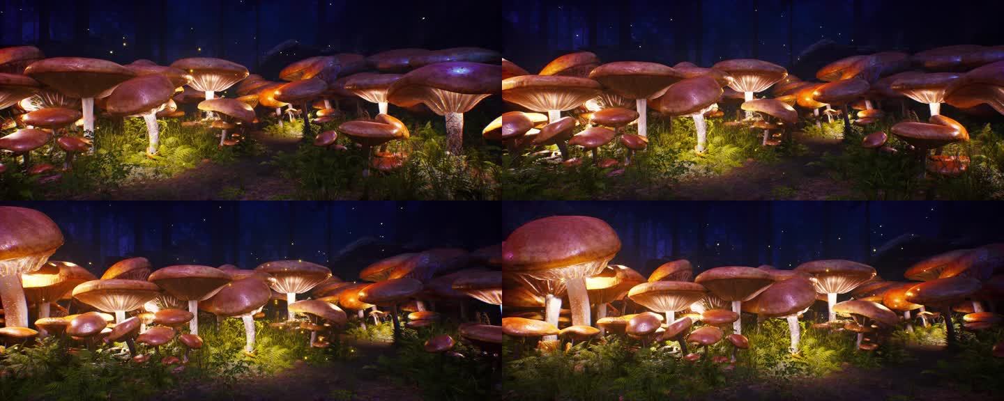 唯美灯光蘑菇林02
