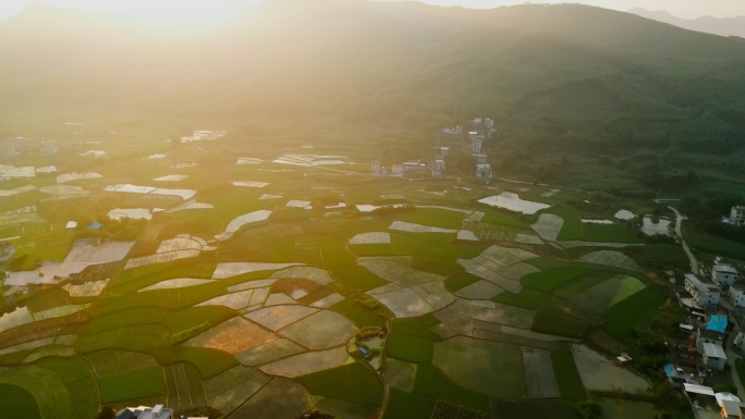 乡村航拍田园风景广西乡村树林覆盖