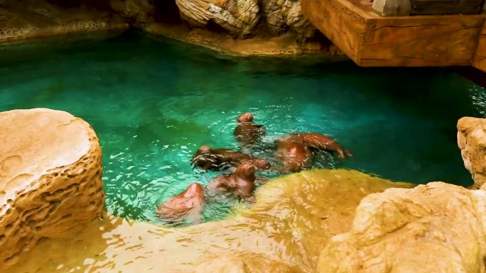 水族馆 海洋生物 游客观赏