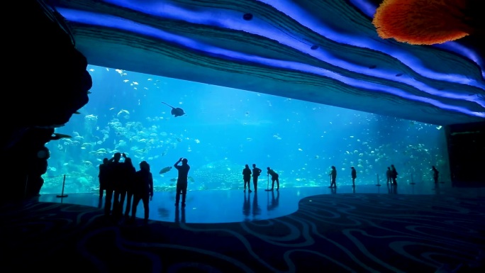 水族馆 海洋生物 游客观赏