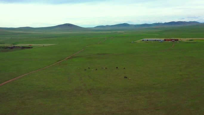 内蒙古大草原4