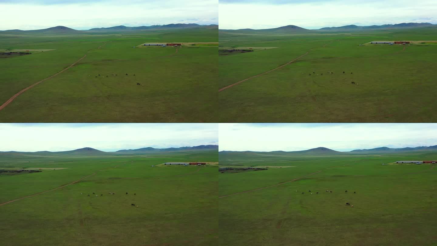 内蒙古大草原4