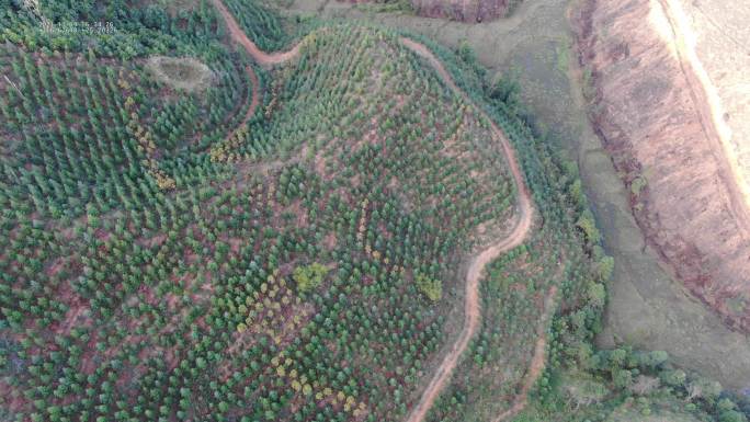 4k 航拍 植树造林 挖坑到绿林的变化