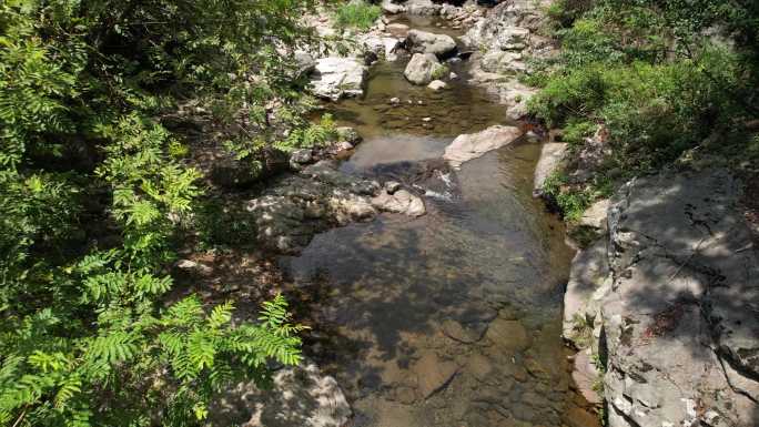 小溪竹林流水