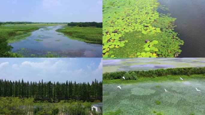 长荡湖湿地公园