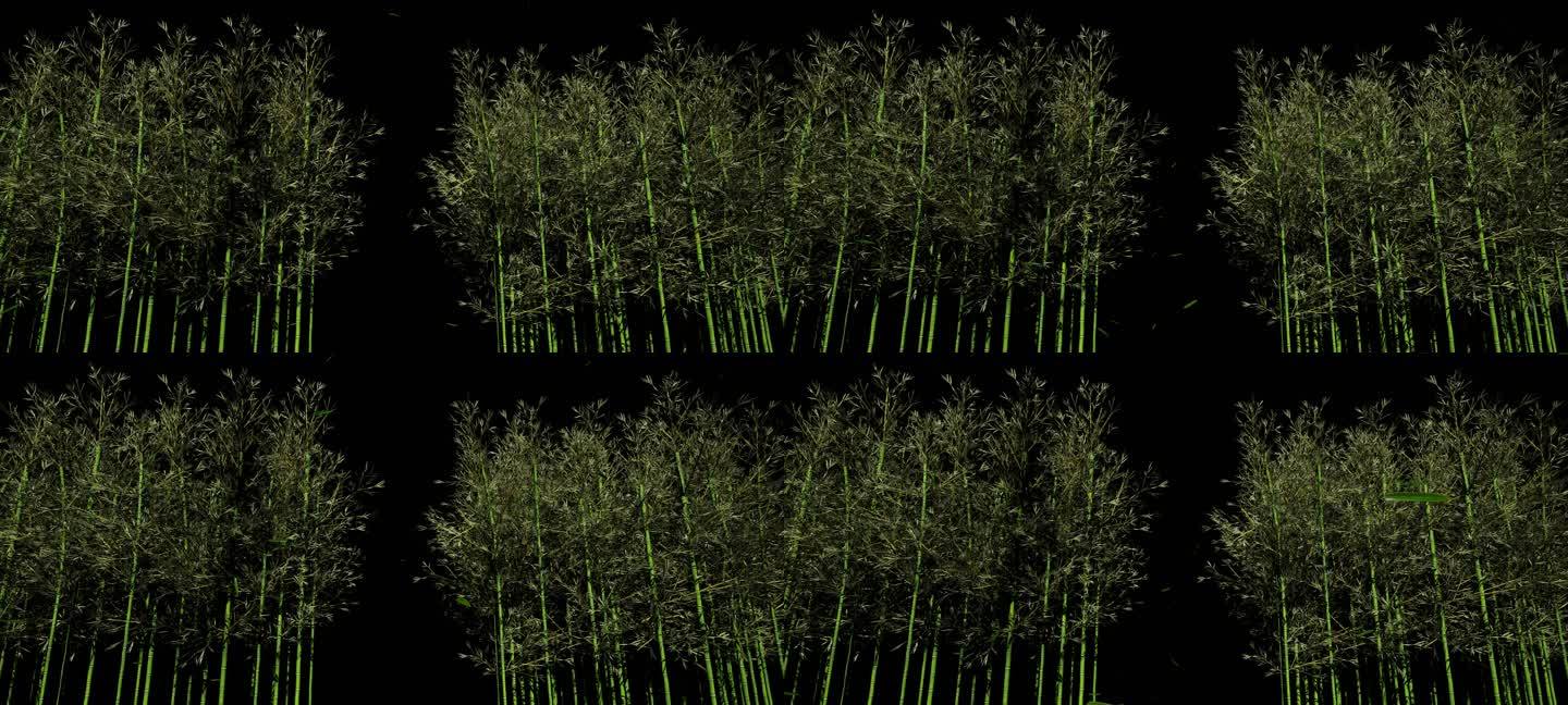 4k风吹竹林竹叶飘落带通道