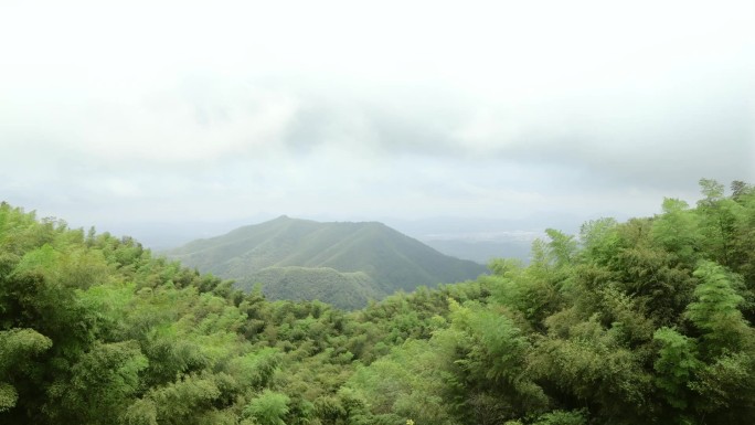 夏天自然风光延时片段