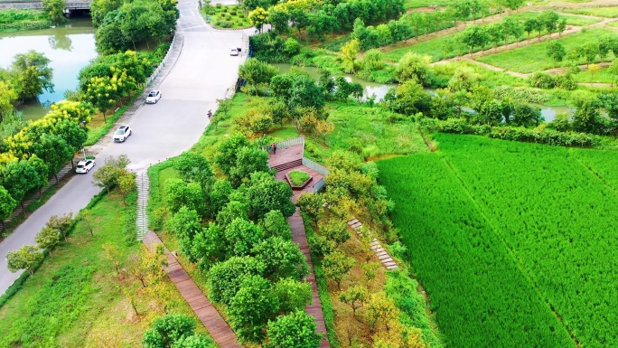 台州黄岩，路院一级公路，鉴洋湖湿地公园