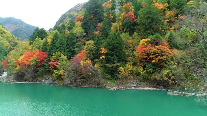 4K四川毕棚沟航拍