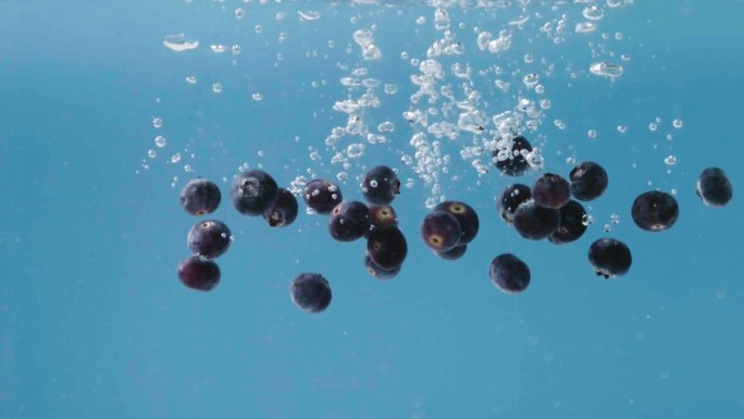 蓝莓入水 蓝莓落水