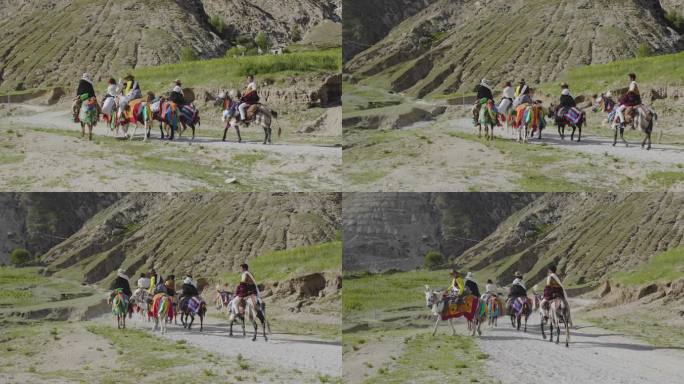 藏族骑士 高原骑士 骑马代步 家畜 动物