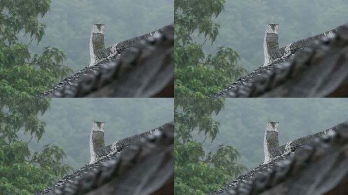 下雨天青砖白瓦 意境