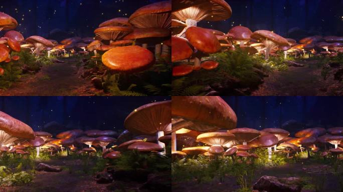 唯美灯光蘑菇林01
