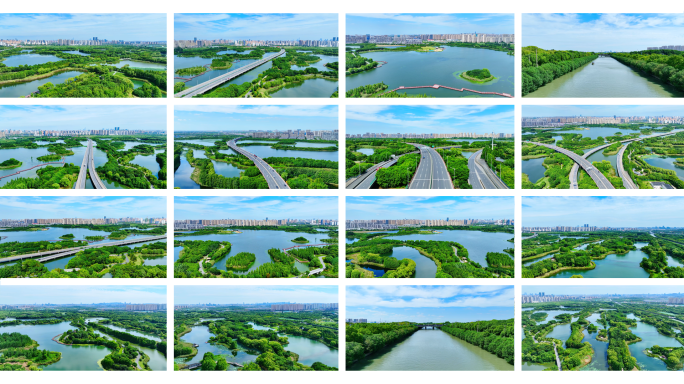 苏州虎丘湿地公园4k-绿色城市