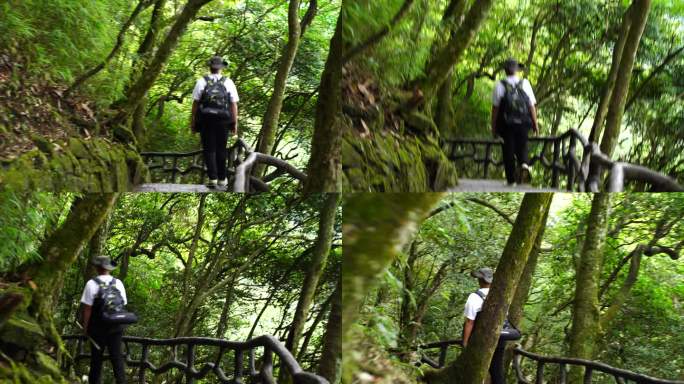 清晨爬山登山上楼梯背影脚步特写森林爬楼梯