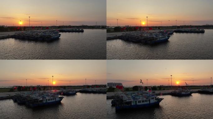 航拍天津滨海中心渔港