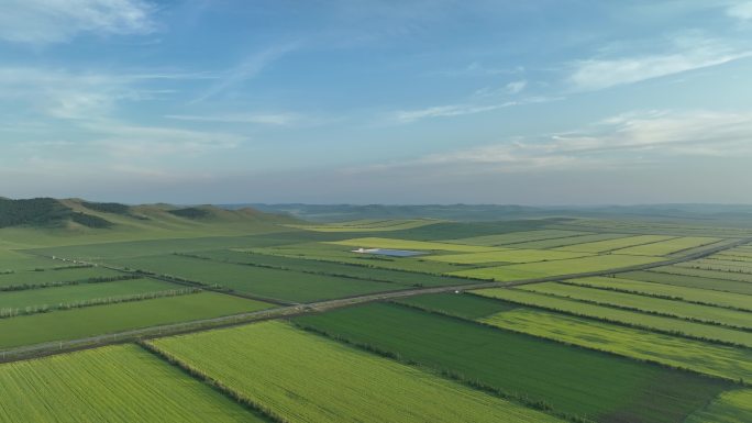 航拍垦区夏日田野风光