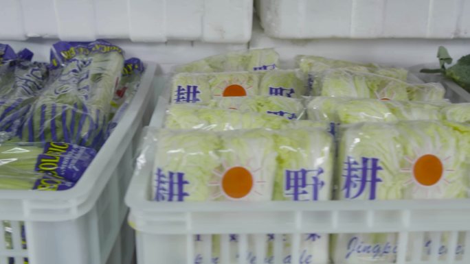 仓库 蔬菜挑选 食品新鲜