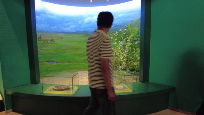 甘肃博物馆黄河古象化石甘肃旅游带孩子参观