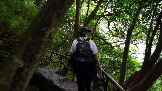 清晨爬山登山上楼梯背影脚步特写森林爬楼梯