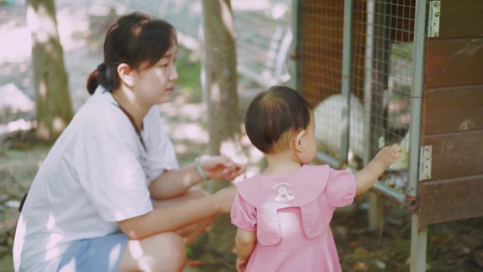 园 小朋友 喂兔子 小白兔 小女孩 亲子