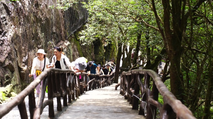 清晨爬山登山上楼梯背影脚步特写森林爬楼梯