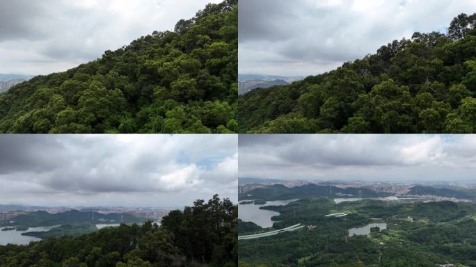 仙湖航拍全景