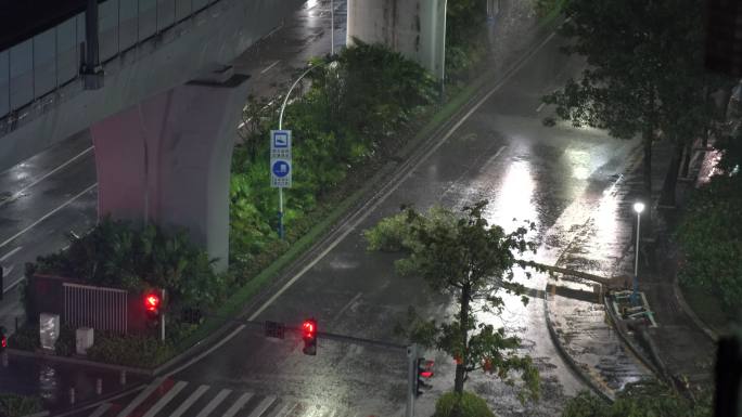 台风天的夜晚，路上倒了的树，大风大雨