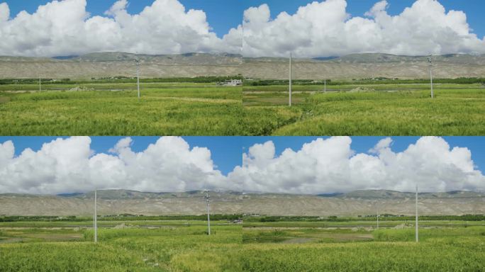 草原 草地 草坪 青草 绿草 晴空万里