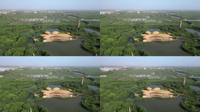 张掖 城市湿地博物馆 边塞竞技体育中心