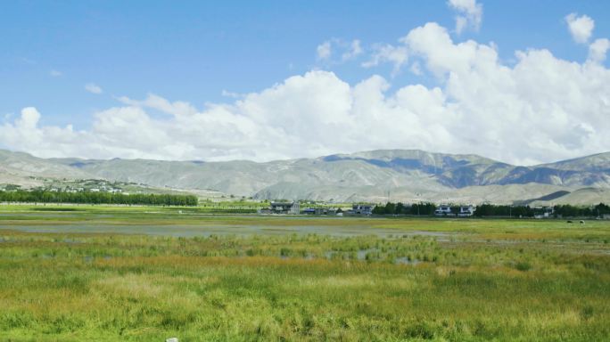 自驾318 青藏高原 西藏高原 田野湿地