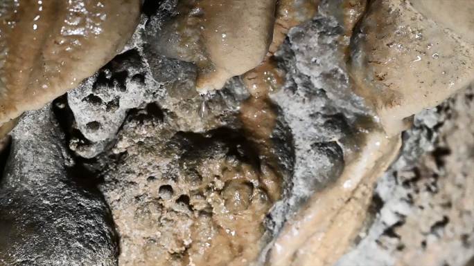 桂林喀斯特地貌溶洞里的钟乳石