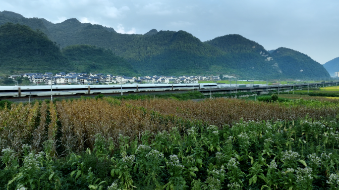 高铁和谐号