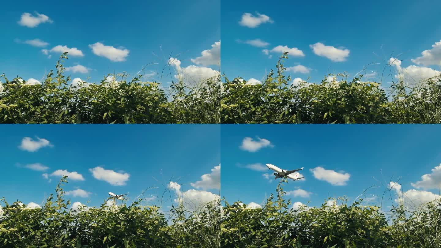 升格拍摄蓝天白云下飞机从天空飞过