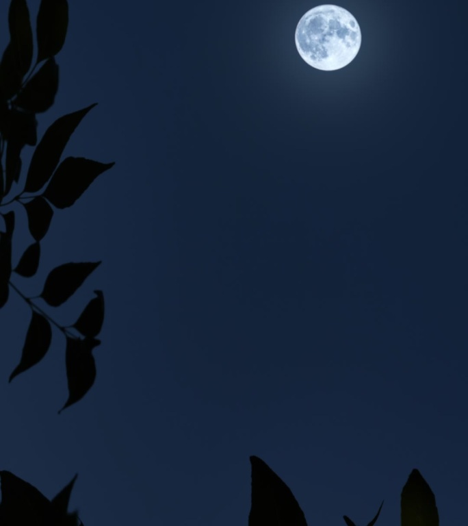 月亮竖屏