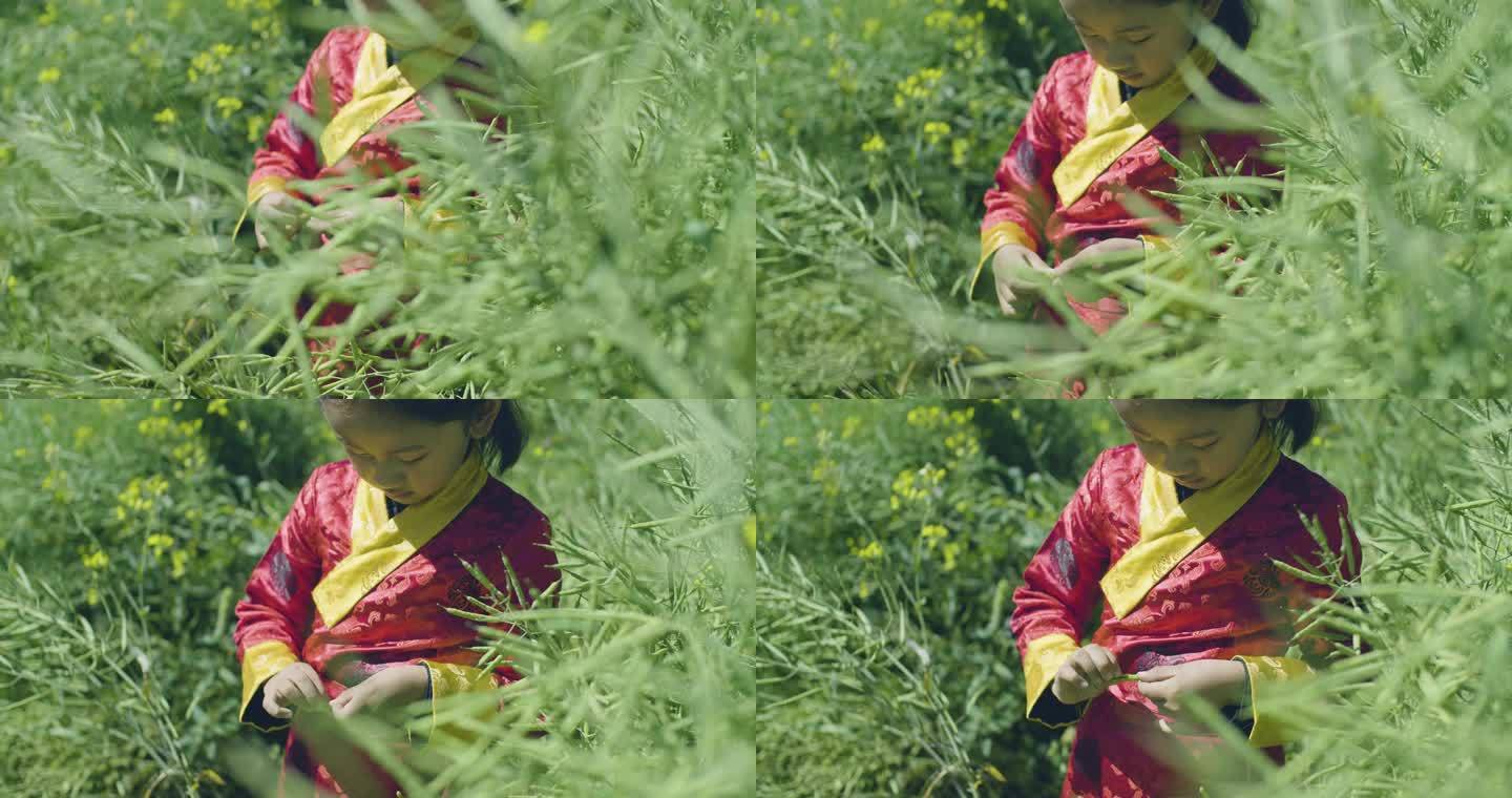农业宣传片纪录片 美丽乡村油菜地小女娃