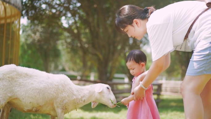 欢乐假日 遛娃 亲子 小孩喂养