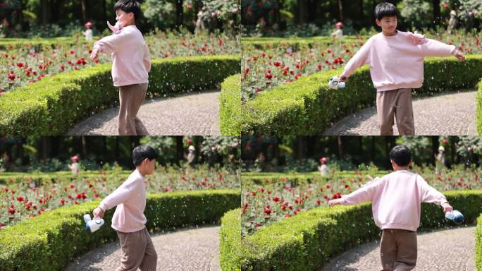 杭州花圃迎亚运月季花展，男孩赏花唯美升格