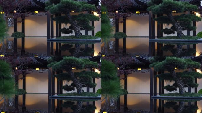 中式高档别墅园林景观