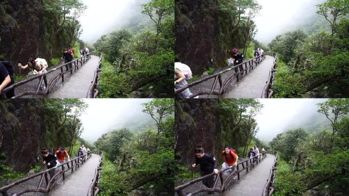 清晨爬山登山上楼梯背影脚步特写森林爬楼梯