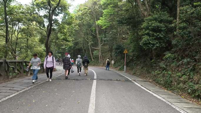 深圳梧桐山 游客 登山赏花 杜鹃花48