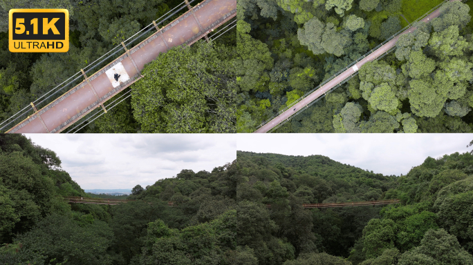 【5K】森林城市，昆明郊野公园悬空桥