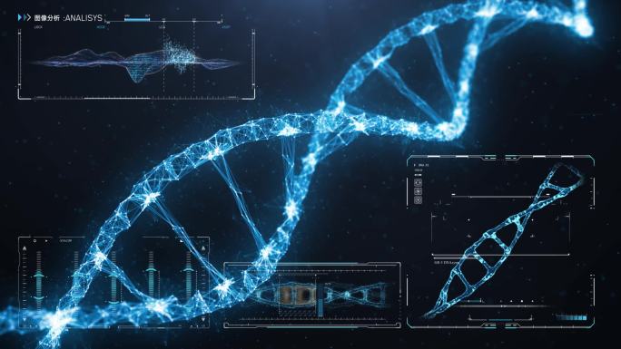 DNA数据分析